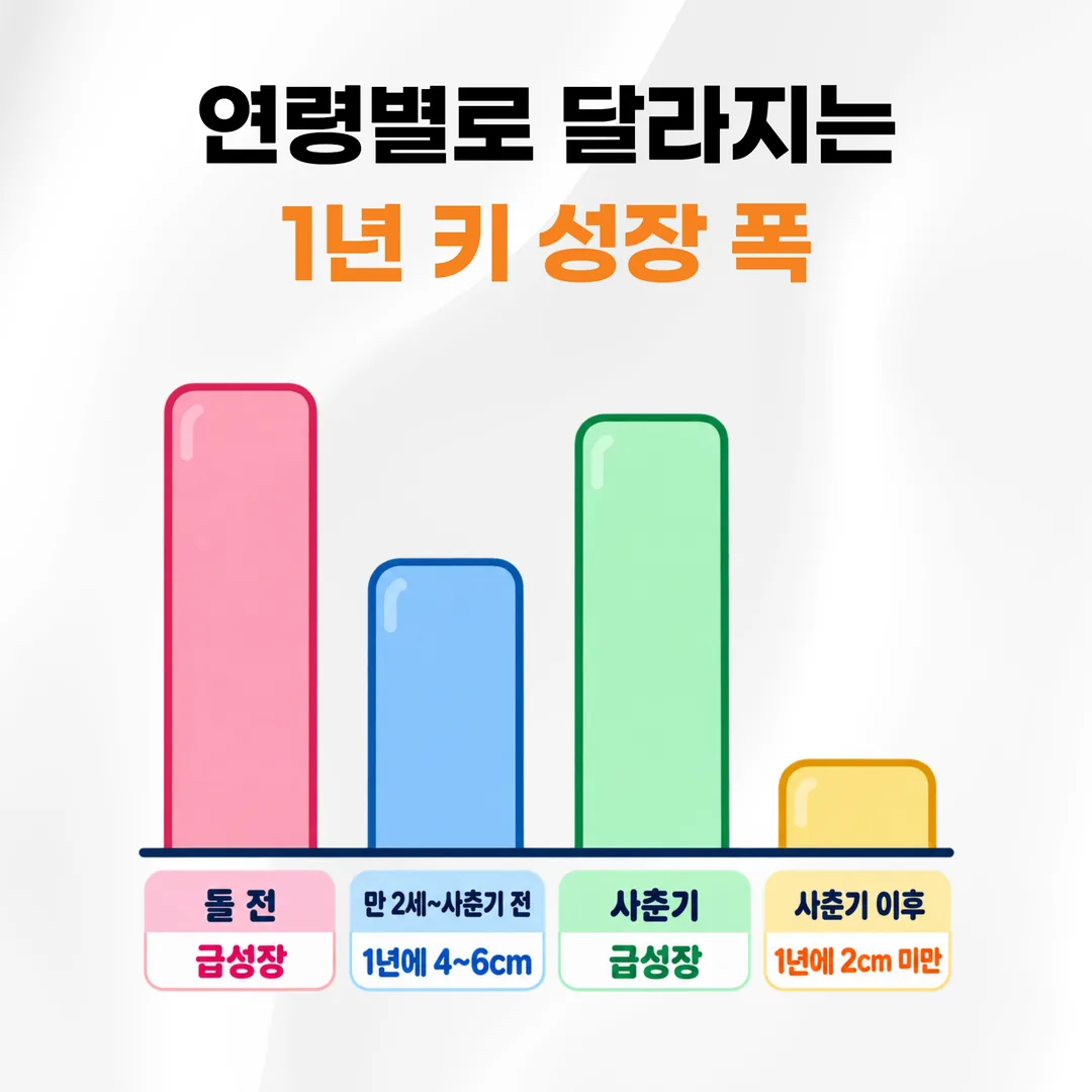 연령 구간별 1년 키 증가 폭을 네 구간으로 나눈 개념 그래프