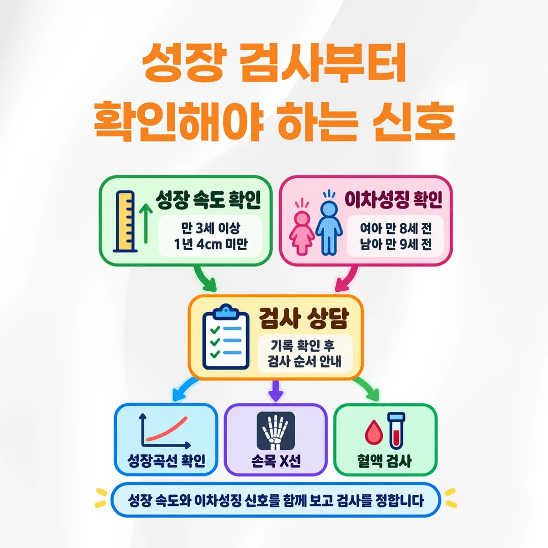 성장 속도와 이차성징 신호에 따라 상담과 검사 순서를 나눈 갈림 도식