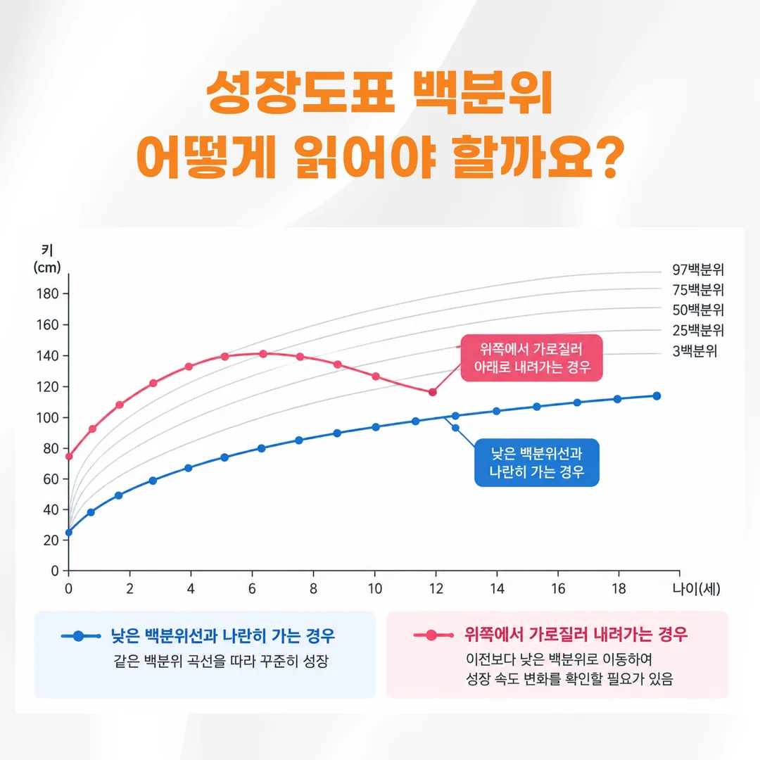 백분위선과 나란한 곡선과 가로질러 내려가는 곡선 비교