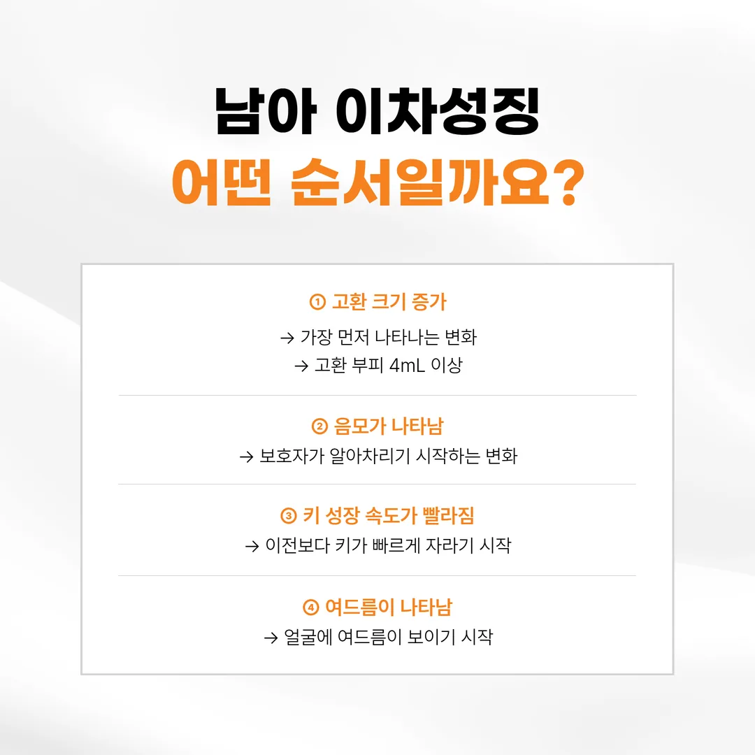남아 사춘기 이차성징 진행 순서 개념도